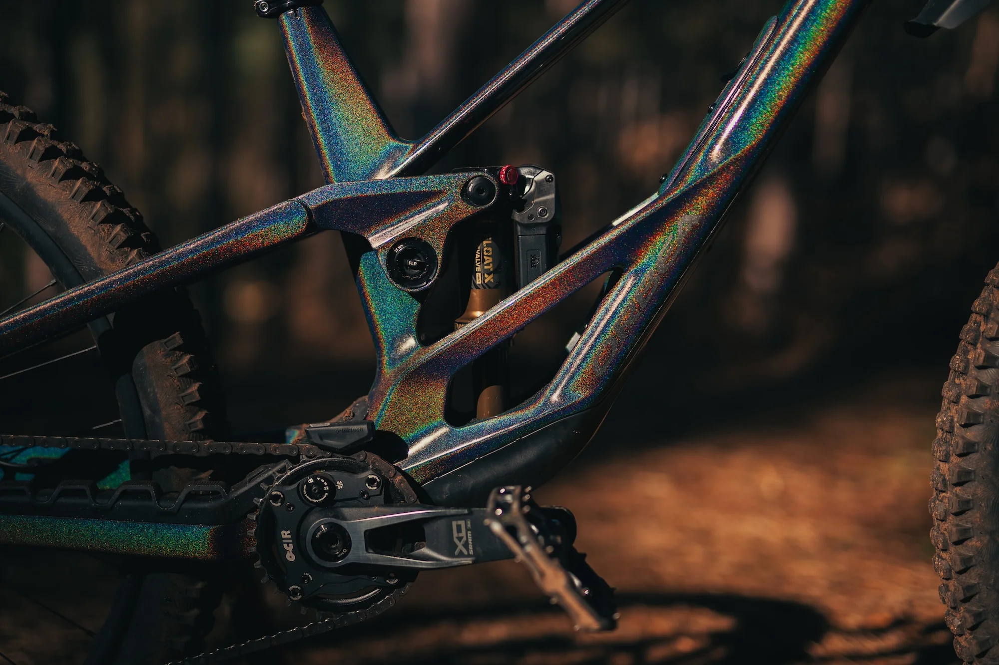 Ride Without Limits