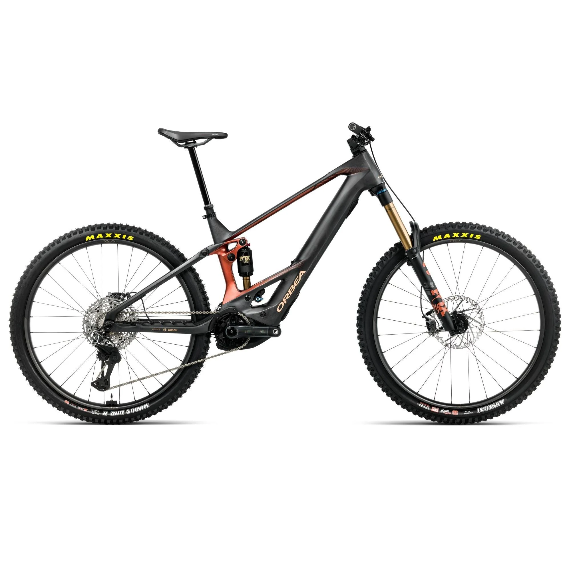 Orbea Wild M-LTD 2026